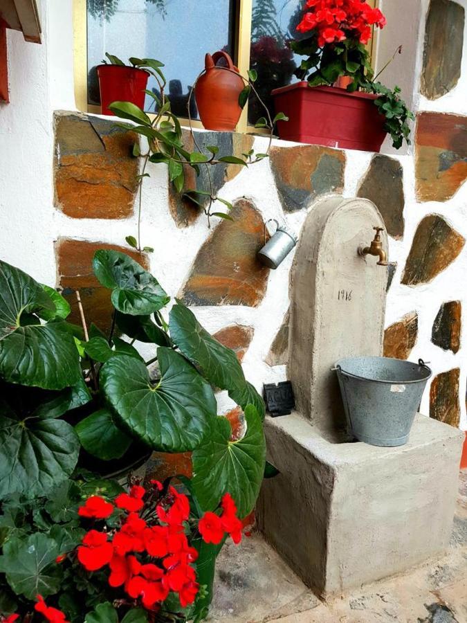 Vivienda Vacacional Ca Na Paula La Orotava Εξωτερικό φωτογραφία
