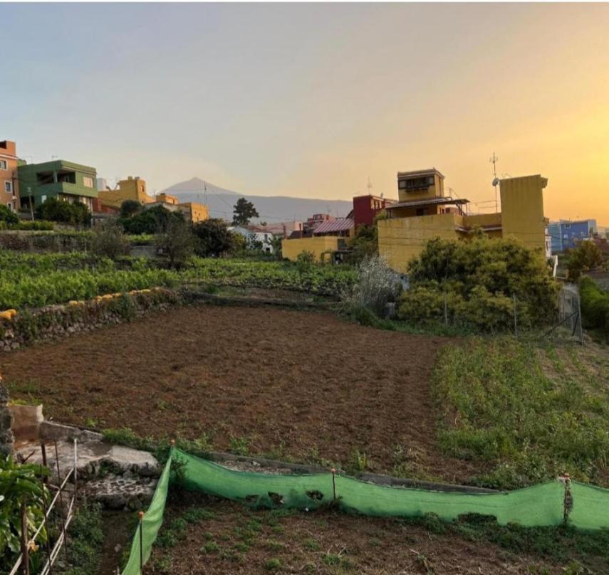 Vivienda Vacacional Ca Na Paula La Orotava Εξωτερικό φωτογραφία