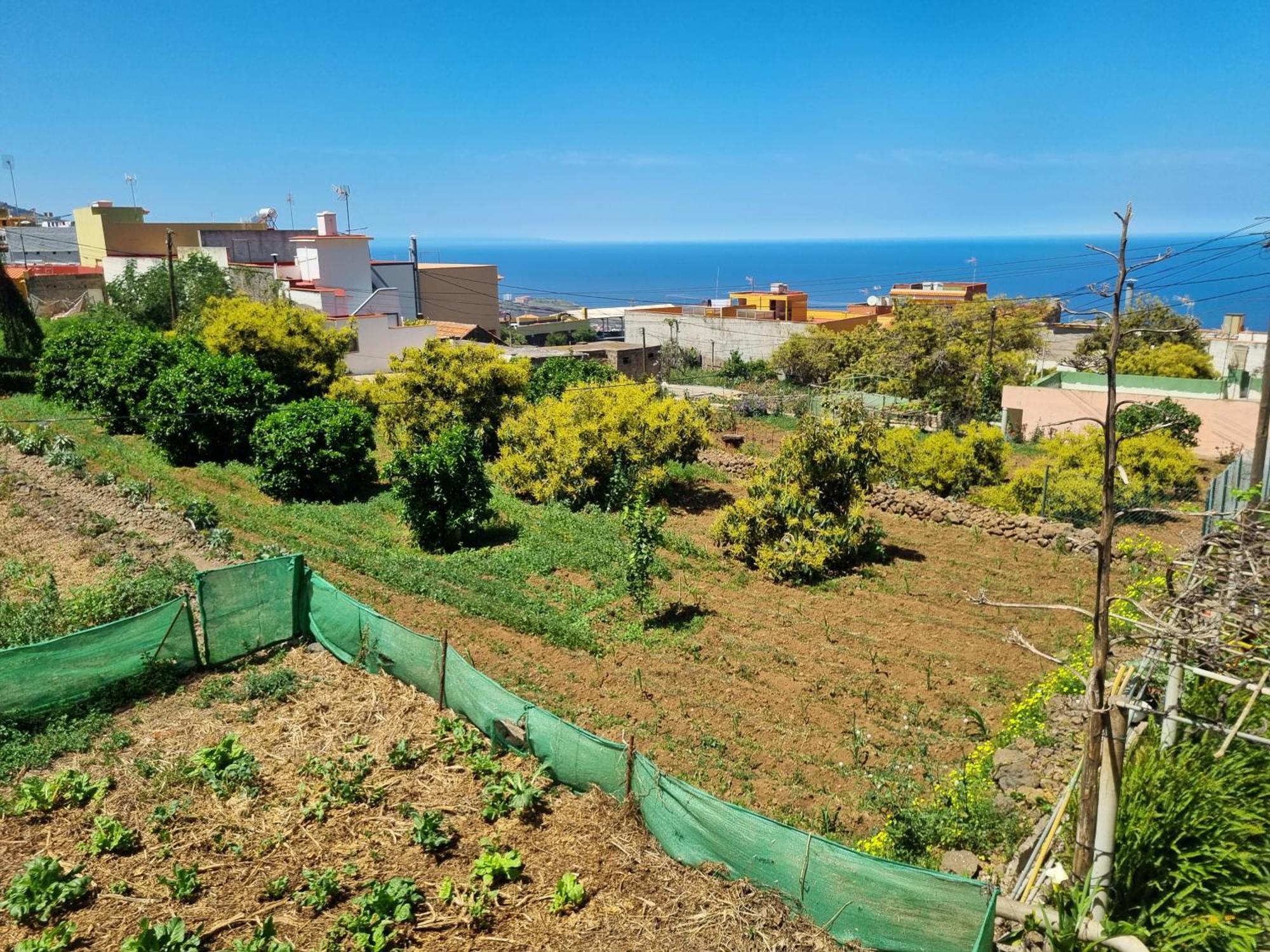 Vivienda Vacacional Ca Na Paula La Orotava Εξωτερικό φωτογραφία