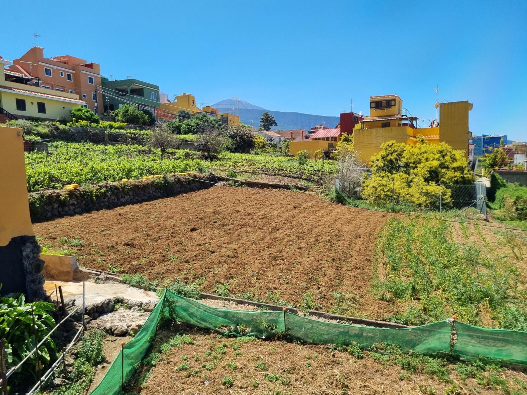 Vivienda Vacacional Ca Na Paula La Orotava Εξωτερικό φωτογραφία