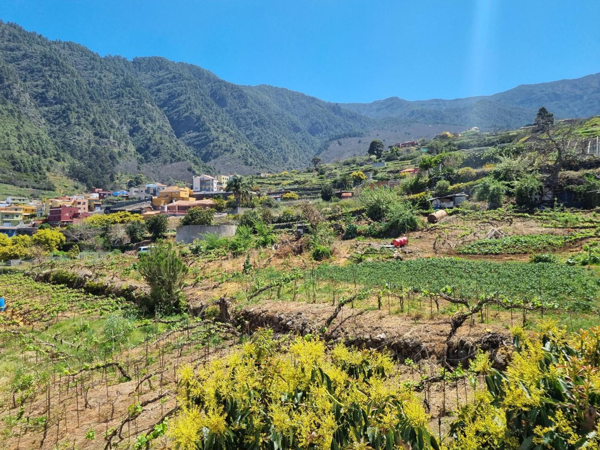 Vivienda Vacacional Ca Na Paula La Orotava Εξωτερικό φωτογραφία